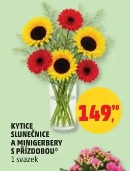 Penny Market Kytice slunečnice a minigerbery s přízdobou nabídka