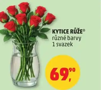 Penny Market Kytice růže nabídka