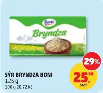 Penny Market Sýr bryndza boni nabídka