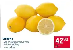 Makro Citrony nabídka