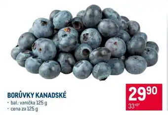 Makro Borůvky kanadské nabídka