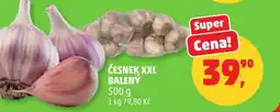 Penny Market Česnek xxl balený nabídka