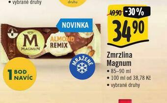 Zmrzlina magnum