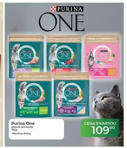 Tamda Foods Purina One granule pro kočky nabídka