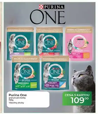 Tamda Foods Purina One granule pro kočky nabídka