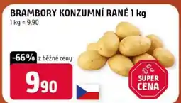 Trefa Brambory konzumní rané nabídka