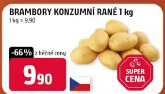 Trefa Brambory konzumní rané nabídka