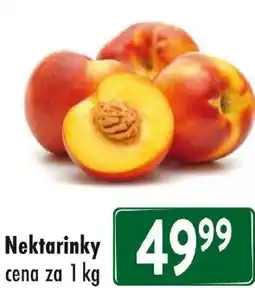Qanto Nektarinky nabídka