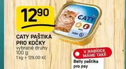 Flop CATY PAŠTIKA PRO KOČKY nabídka