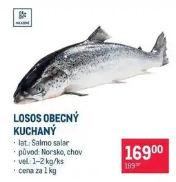 Makro Losos obecný kuchaný nabídka