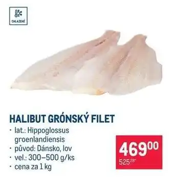 Makro Halibut grónský filet nabídka