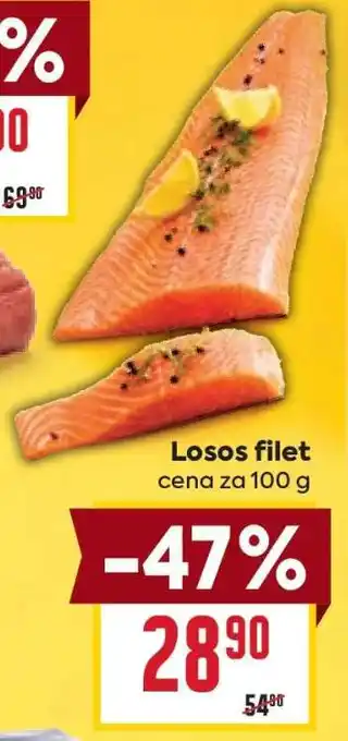 Billa Losos filet nabídka