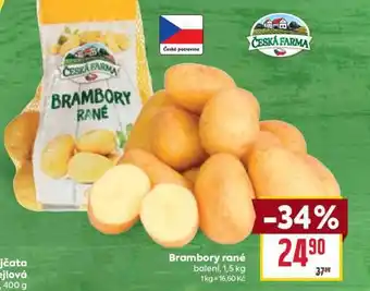 Billa Brambory rané nabídka
