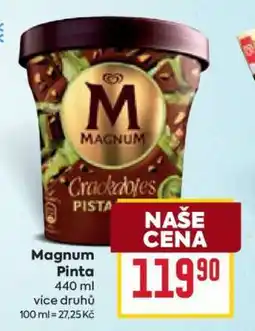 Billa Magnum pinta nabídka