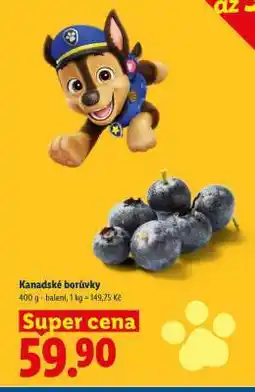 Lidl KANADSKÉ BORŮVKY nabídka