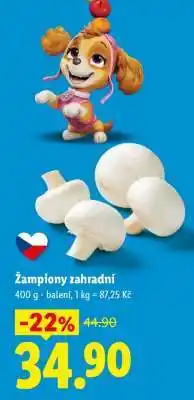 Lidl ŽAMPIONY ZAHRADNÍ nabídka