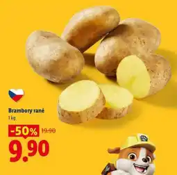 Lidl Brambory rané nabídka