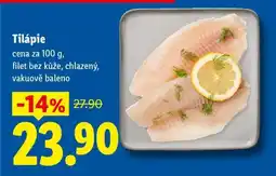 Lidl Tilápie nabídka