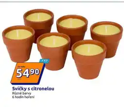 Action Svíčky s citronelou nabídka