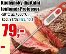 EVA Kuchyňský digitální teploměr Professor nabídka