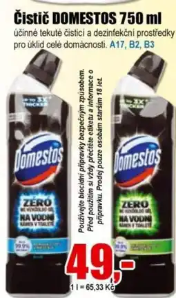 EVA Čistič DOMESTOS nabídka