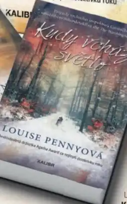 Knižní klub Louise Pennyová KUDY VCHÁZÍ SVĚTLO nabídka