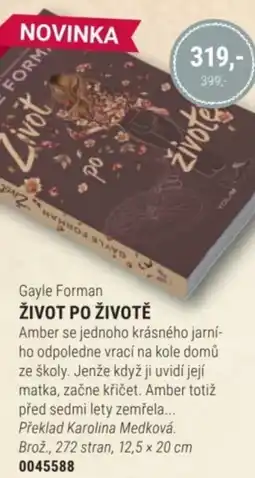 Knižní klub Gayle Forman ŽIVOT PO ŽIVOTĚ nabídka