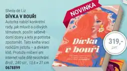 Knižní klub Sheila de Liz DÍVKA V BOUŘI nabídka