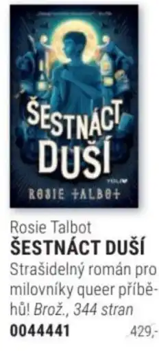 Knižní klub Rosie Talbot ŠESTNÁCT DUŠÍ nabídka