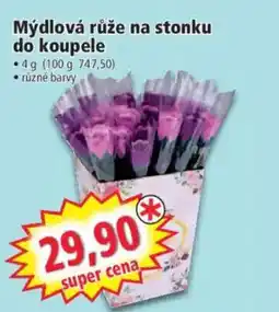 Norma Mýdlová růže na stonku do koupele nabídka
