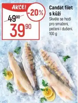 Globus Candát filet s kůží nabídka