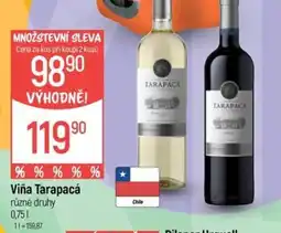 Globus Viña Tarapacá nabídka