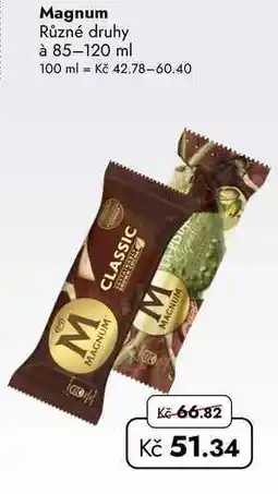 TRAVEL FREE Magnum Různé druhy à nabídka