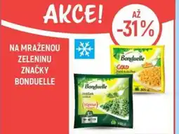 Globus Na mraženou zeleninu značky Bonduelle nabídka