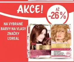 Globus Na vybrané barvy na vlasy značky L'oreal nabídka