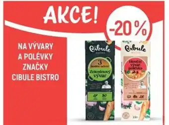 Globus Na vývary a polévky značky cibule bistro nabídka