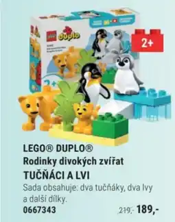 Knižní klub LEGO® DUPLO® Rodinky divokých zvířat TUČŇÁCI A LVI nabídka