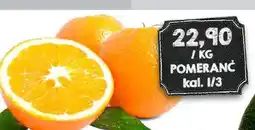 Jip Pomeranč nabídka