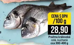 Jip Pražma královská nabídka