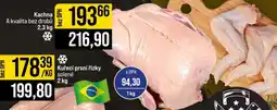 Jip KACHNA nabídka