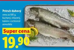 Lidl Pstruh duhový, cena za nabídka
