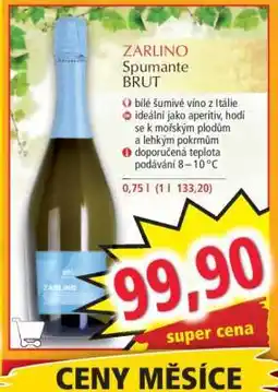 Norma ZARLINO Spumante BRUT nabídka