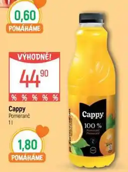 Globus Cappy Pomeranč 1l nabídka