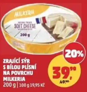 Penny Market Zrající sýr s bílou plísní na povrchu milkeria nabídka