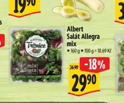 Albert Albert Salát Allegra mix nabídka
