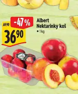 Albert Albert Nektarinky koš nabídka