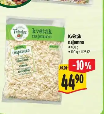Albert Květák najemno nabídka