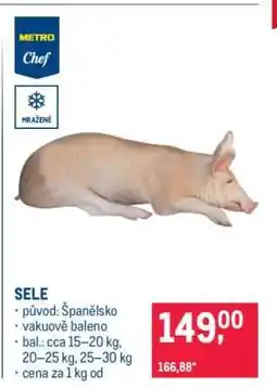 Makro Sele nabídka