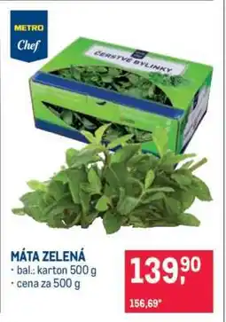 Makro Máta zelená nabídka