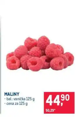 Makro Maliny nabídka